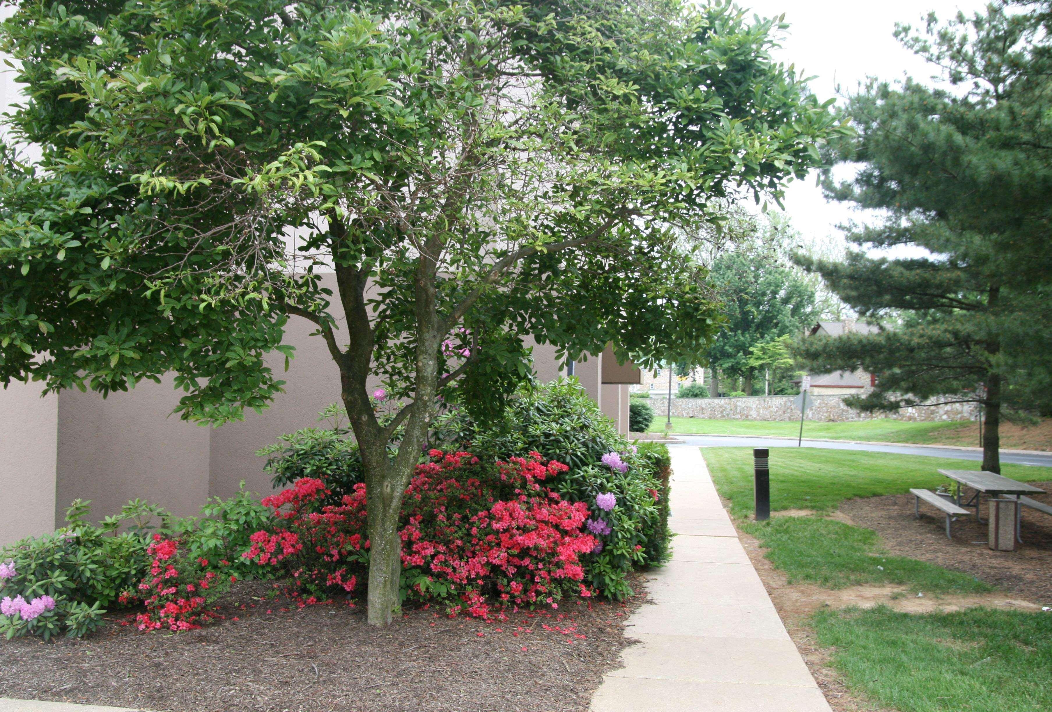 Hampton Inn Downingtown/Exton Exterior photo